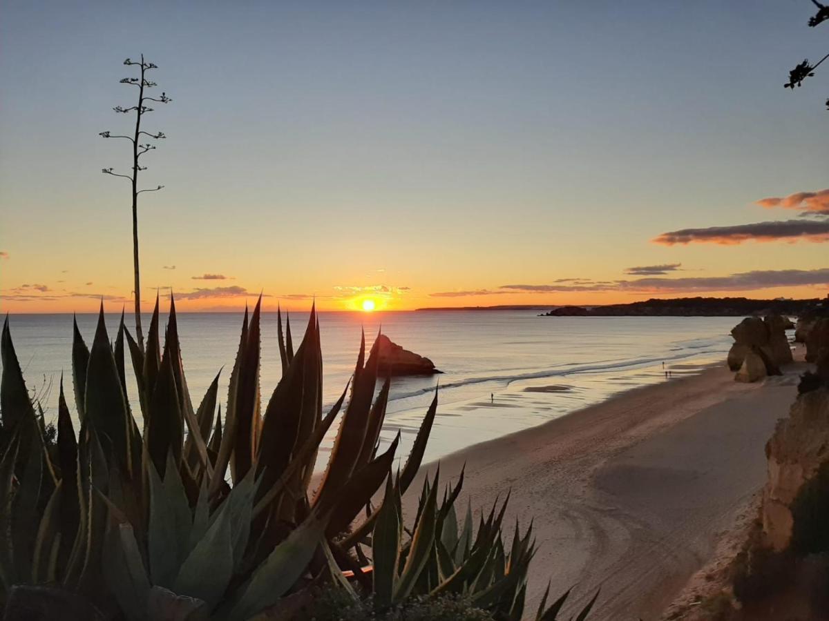Praia Mar II Portimão Dış mekan fotoğraf
